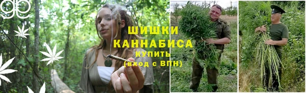гидра Михайловск