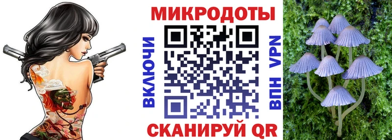 наркотики  Нолинск  Псилоцибиновые грибы Magic Shrooms 